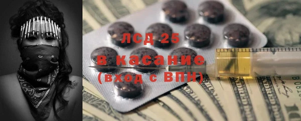 твердый Бородино