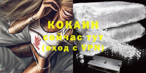 твердый Бородино