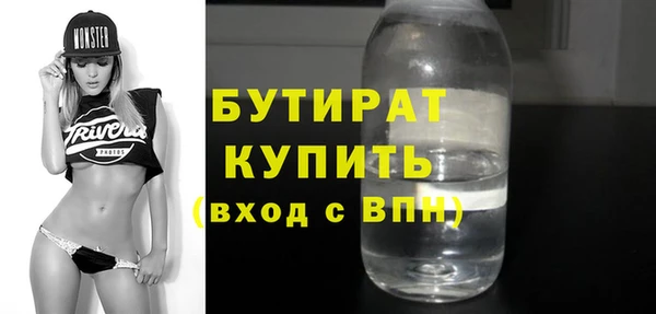 твердый Бородино