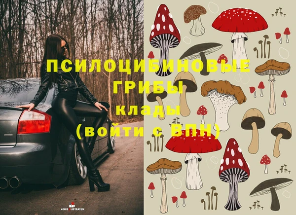 мяу мяу мука Бугульма