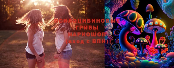 твердый Бородино